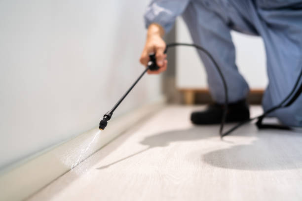 Licensed Fumigation Services service in Jefferson County County, KY - Nex Pest Control